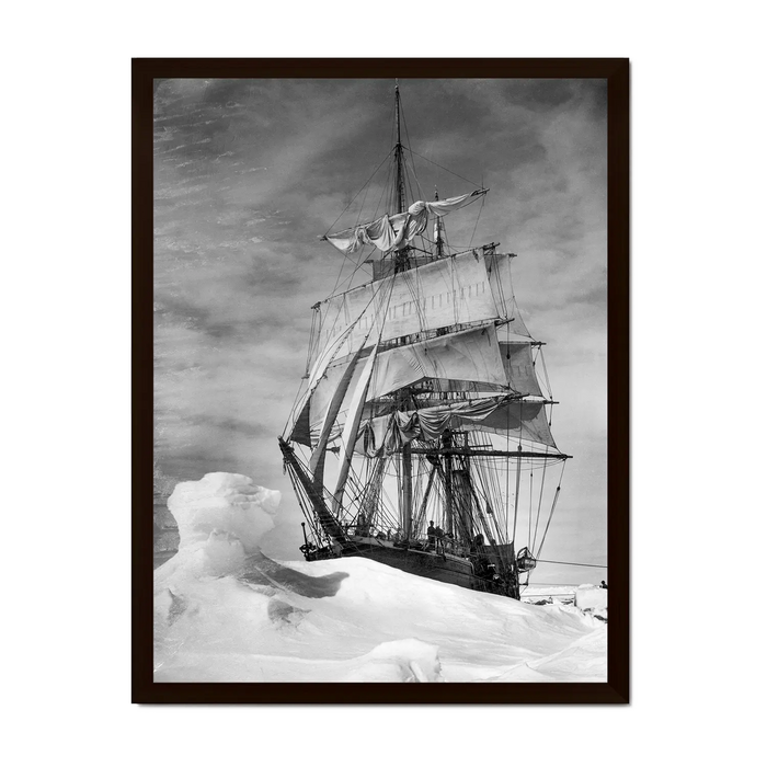 Terra Nova