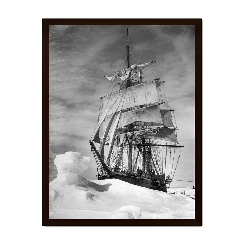 Terra Nova