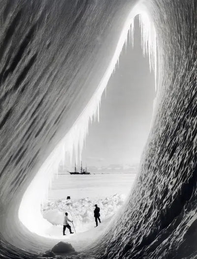 Terra Nova