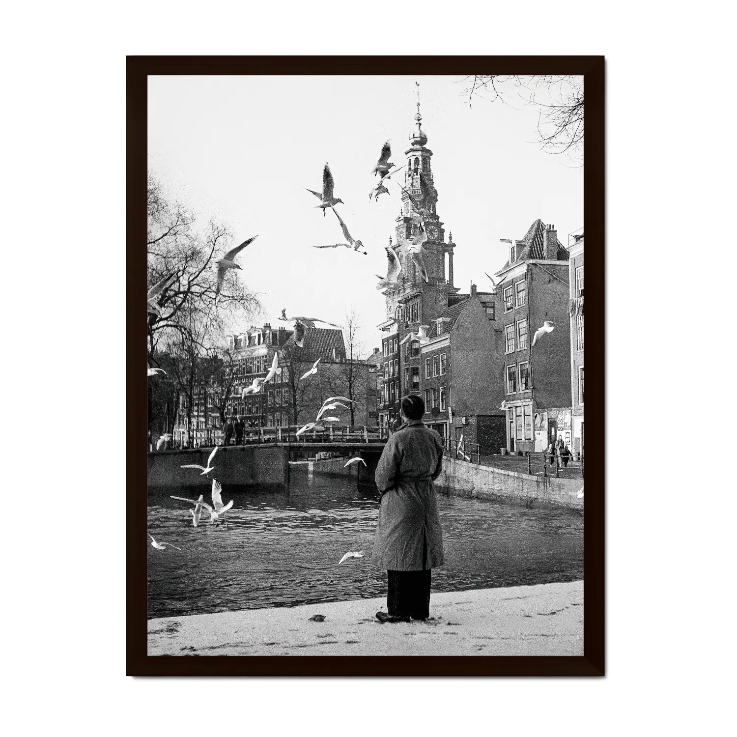 Historische foto poster: Vogels voeren aan de Zwanenburgwal, Amsterdam (1954)